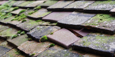 Finchampstead roof repair costs